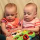 Hartzler Twins